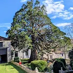 Domaine De La Dordrona